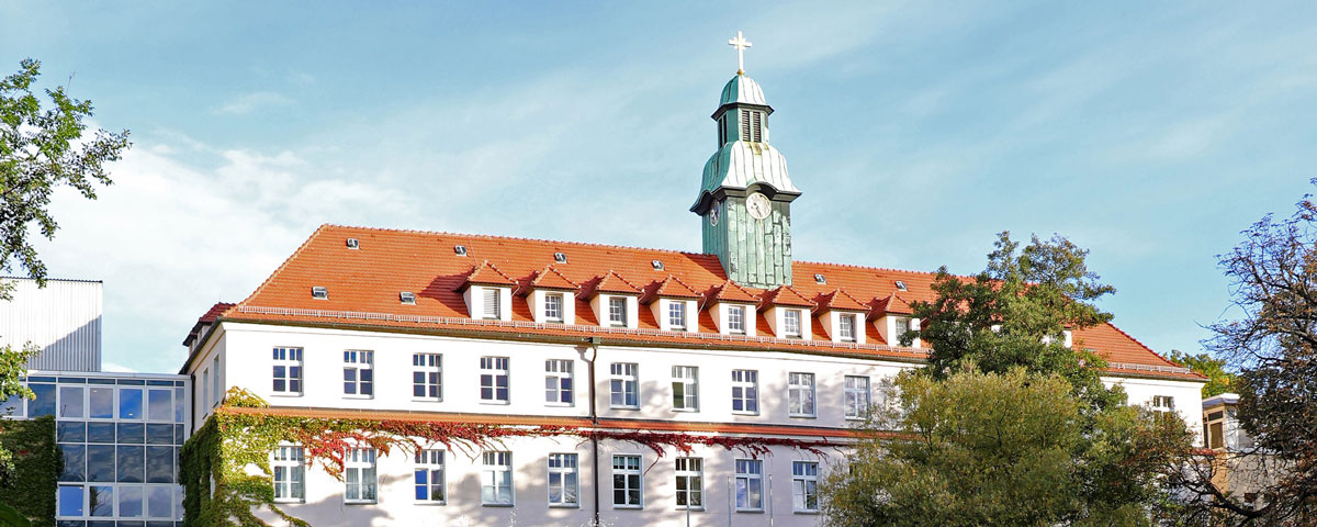 St. Carolus - Banner